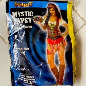 Mystic Gypsy Costume